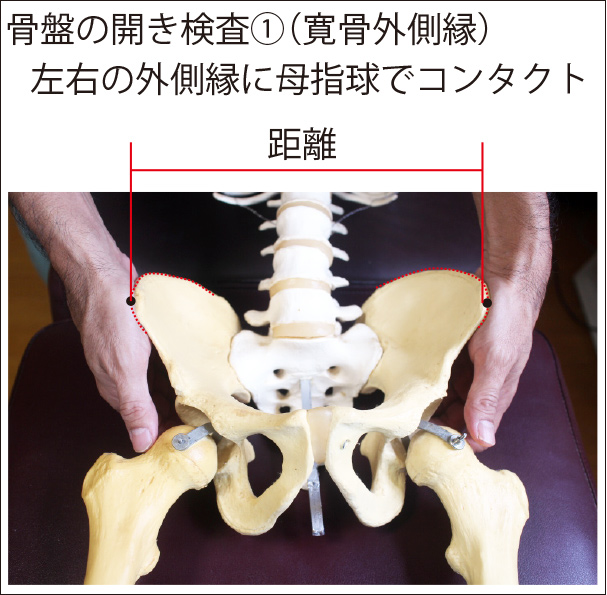 骨盤の開きを確認する方法。 - うるまカイロプラクティック「公式」